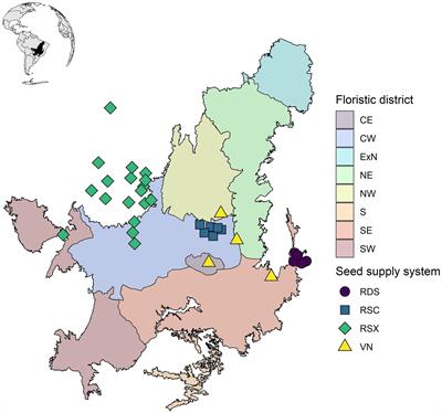 Toward diverse seed sourcing to upscale ecological restoration in the Brazilian Cerrado